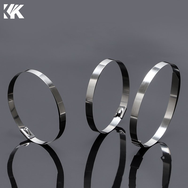 4.6X200mm SS304 Stainless Steel Cable Tie And Self Locking Stainless Steel Cable Tie With ISO9001