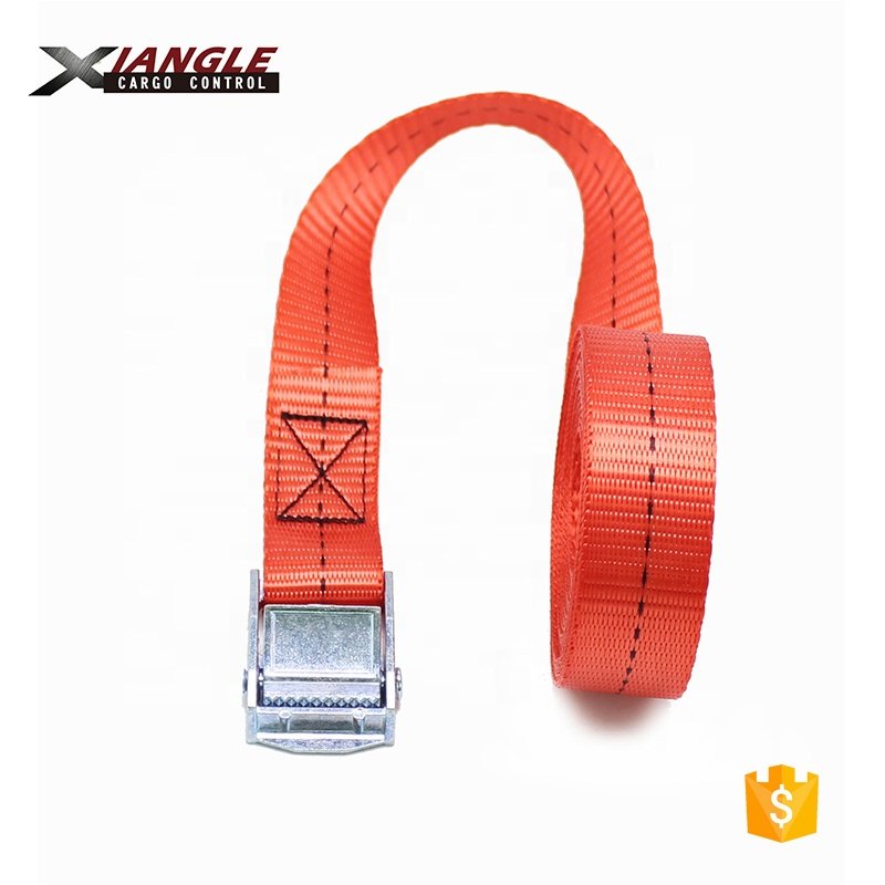 250kgs capacity 25mm Metal Cam Buckle Tie Down Lashing Straps used for tightening goods