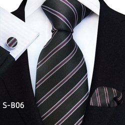 S-B06