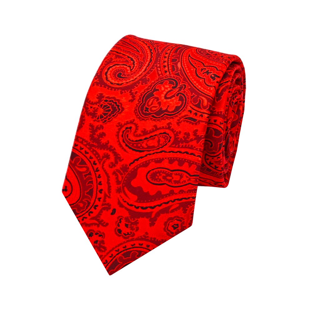 YiLi Factory Custom Made Microfiber Polyester Woven Paisley Floral Jacquard Tie