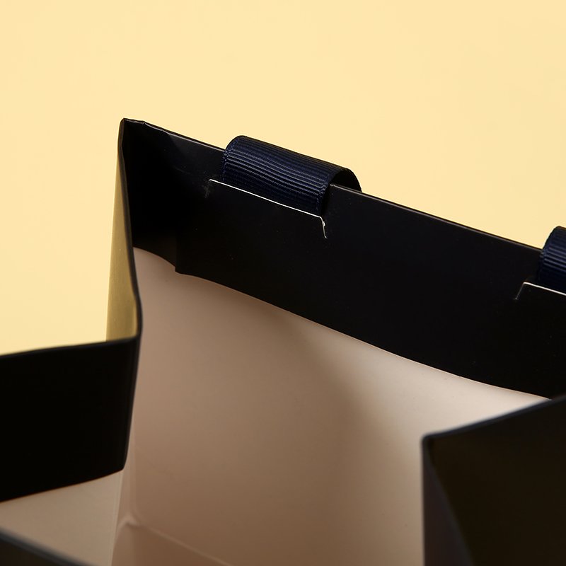 Professional Customized Coated Paper Jewelry Packaging Paper Bag with Ribbon Handle