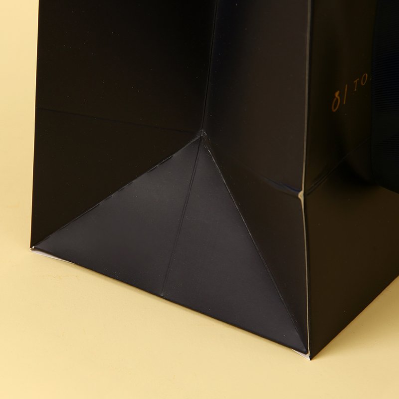 Professional Customized Coated Paper Jewelry Packaging Paper Bag with Ribbon Handle