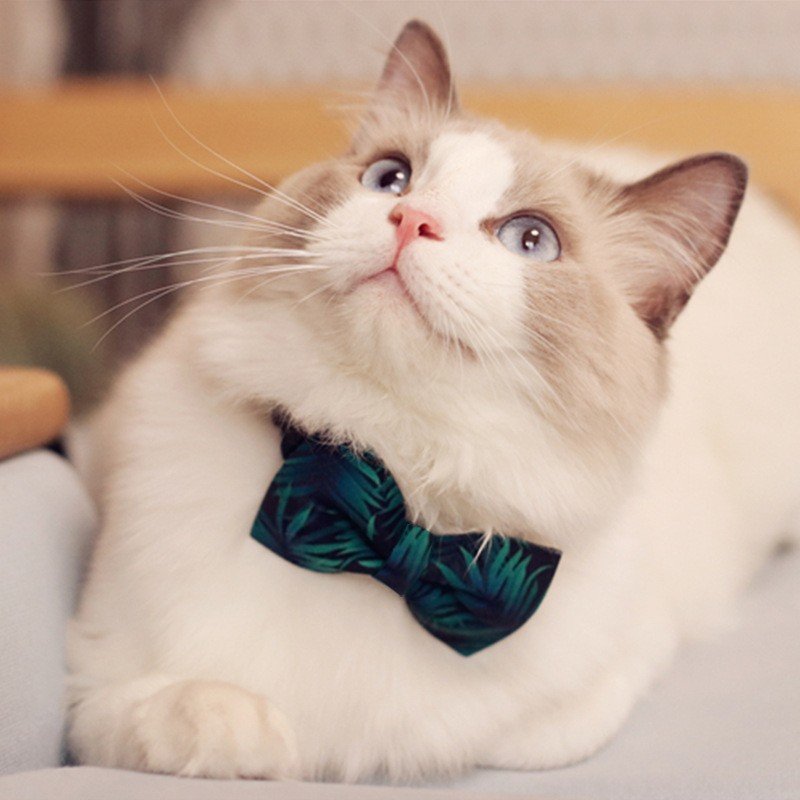 Adjustable Little Pet Bow Tie Wholesale Pet Hair Ornaments Pet Neck Tie Dog Bow Tie