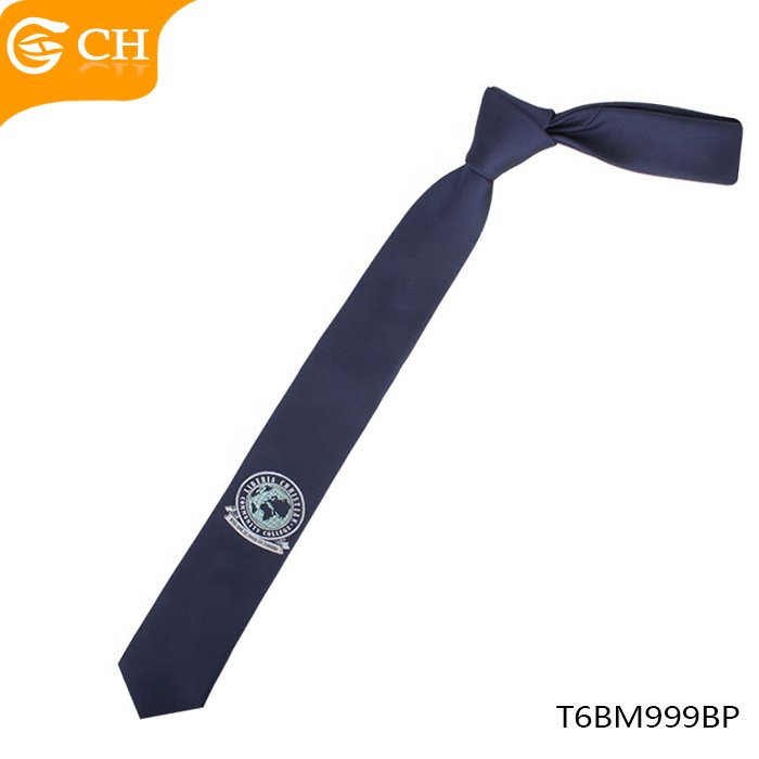Hot Selling OEM Custom Cheap Neck Tie 100% Polyester School Logo Necktie