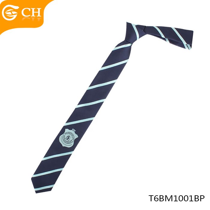 Hot Selling OEM Custom Cheap Neck Tie 100% Polyester School Logo Necktie