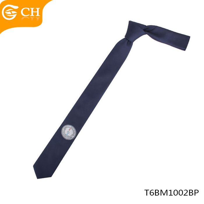 Hot Selling OEM Custom Cheap Neck Tie 100% Polyester School Logo Necktie