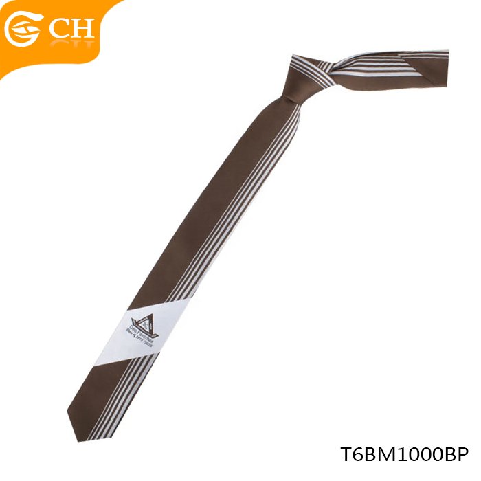 Hot Selling OEM Custom Cheap Neck Tie 100% Polyester School Logo Necktie