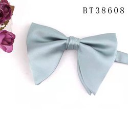BT38608