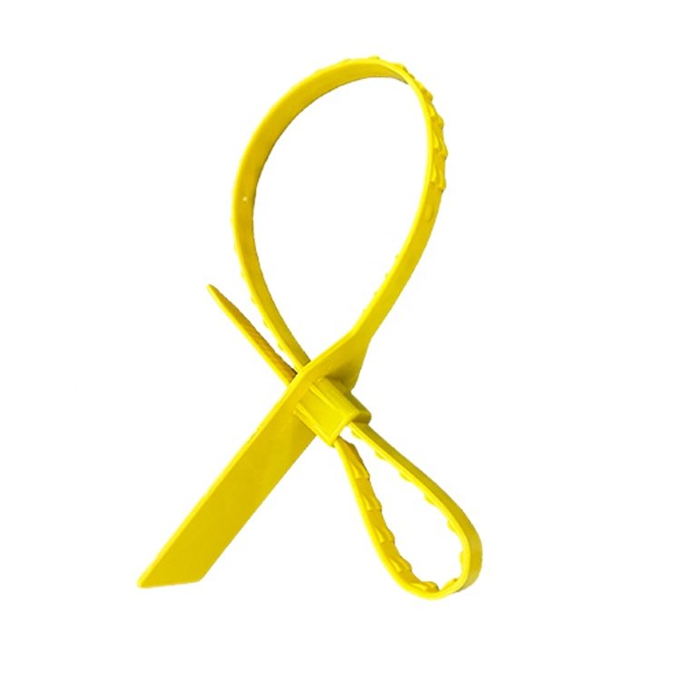 Numbered Tamper Tags Supplier Printing Logo Security Seal Big Tag Pull Tight Cable Zip Tie for Garment