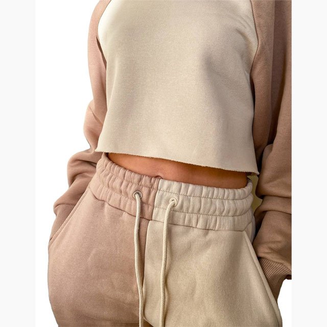 2022 Custom Women's Winter Gym Set Solid Color Hoodie Sweatpants Cotton Thick Fleece Button Blank Crop Top Jogger Two Piece