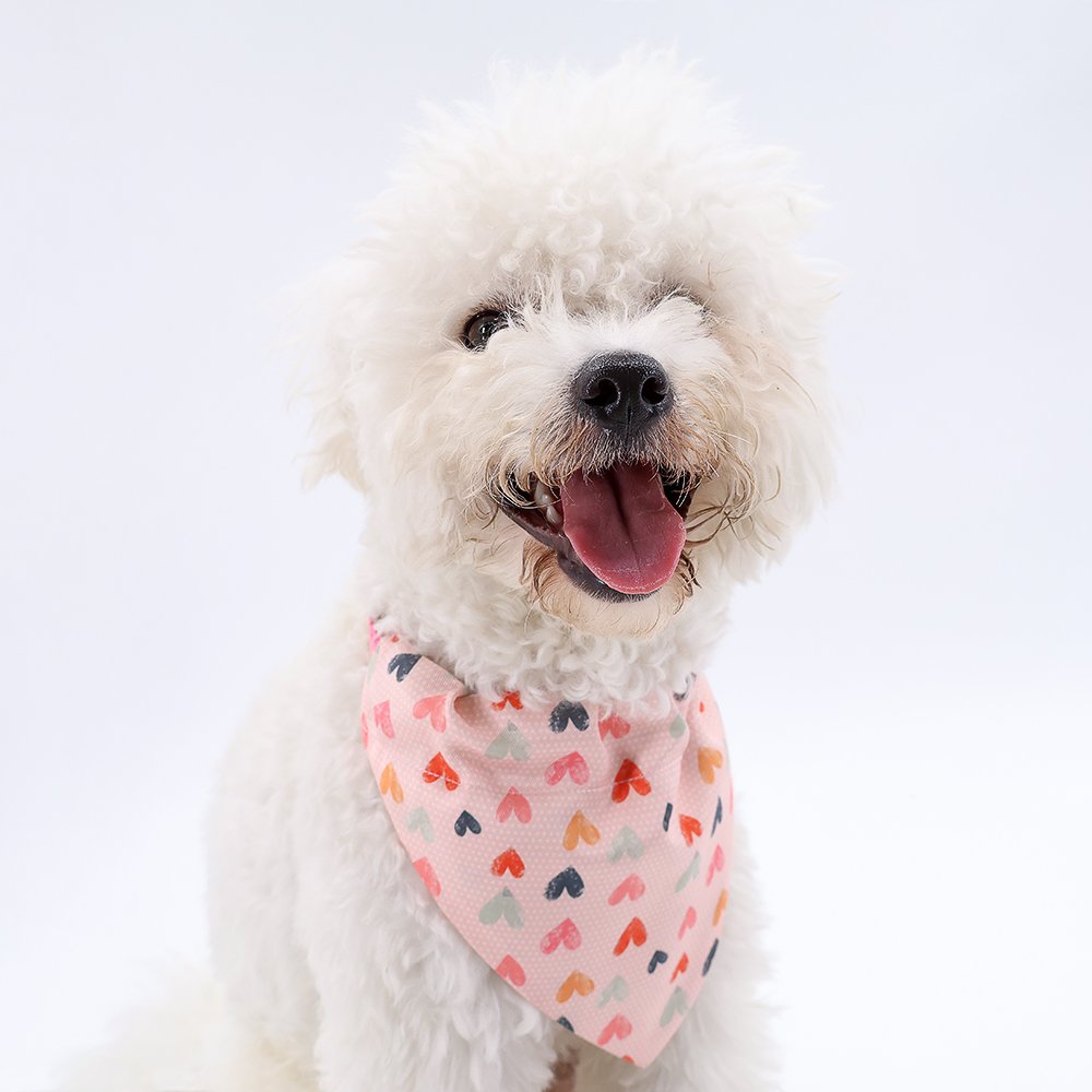 Wholesale Christmas Dog Bandana Printing Triangle Bibs Christmas Pet Scarf Pet Dog Cat Bandana