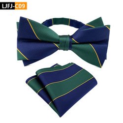IU-J09
