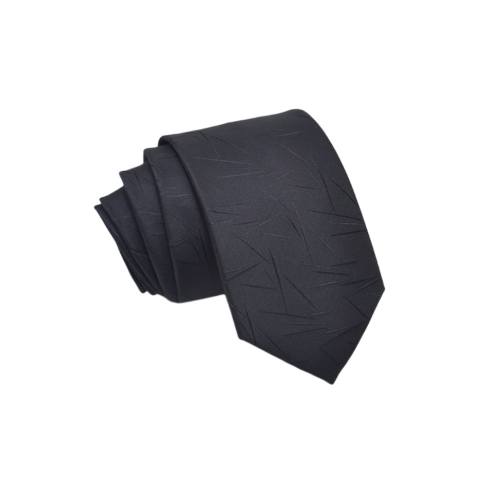 Mens Accessories high quality ties business neck ties polyester ties