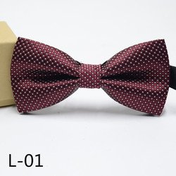 L-01