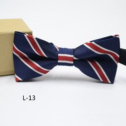 L-13