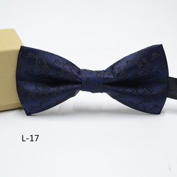 L-17