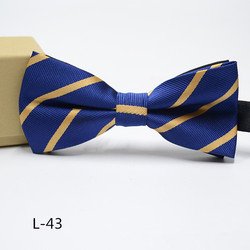 L-43