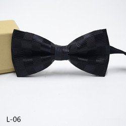 L-06