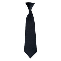 A1