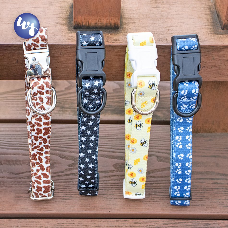 Adjustable padded neoprene ECO-friendly dog collar neck soft outdoor running high quality dog collars leash customized