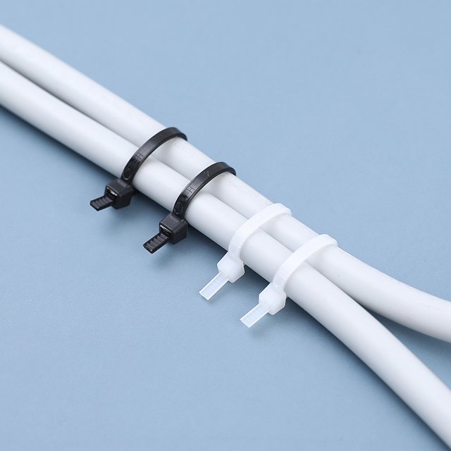 Wholesale Price Uv Nylon Cable Ties Nylon