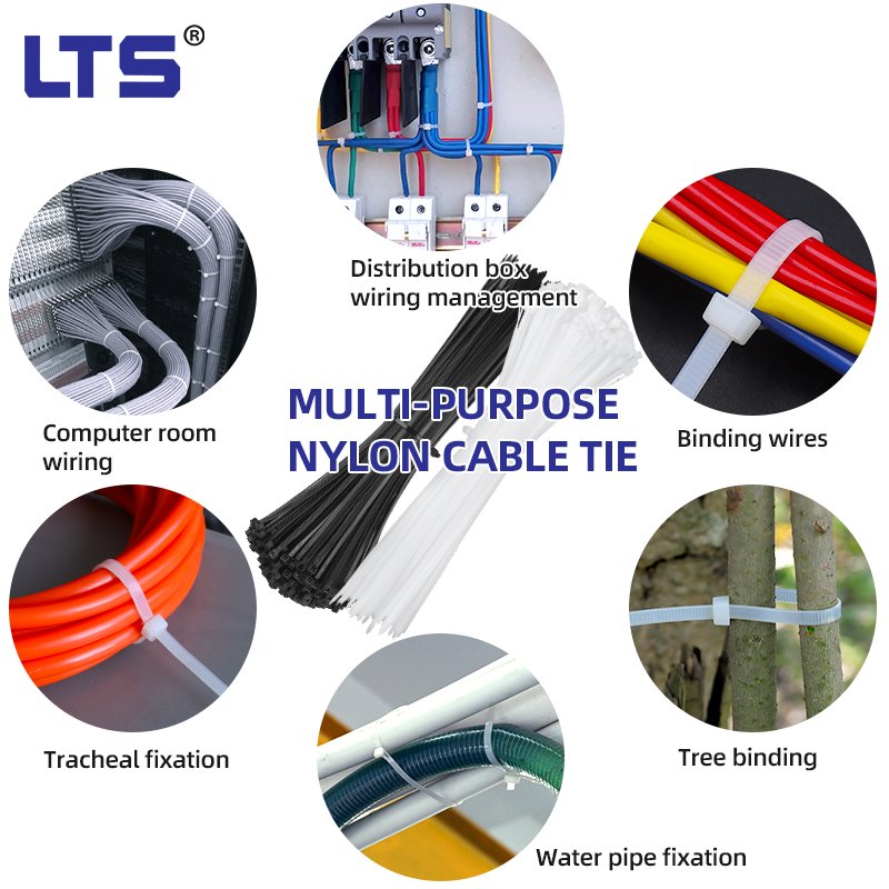 2.5*60mm Miniature Self-Locking Nylon Zip Ties Small Size Plastic Cable Ties