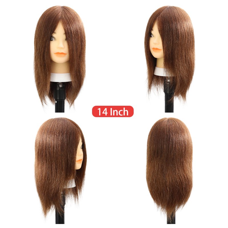 High Quality Low Price 100% Real Human Hair Mannequin Head Female Teaching Training Doll Head