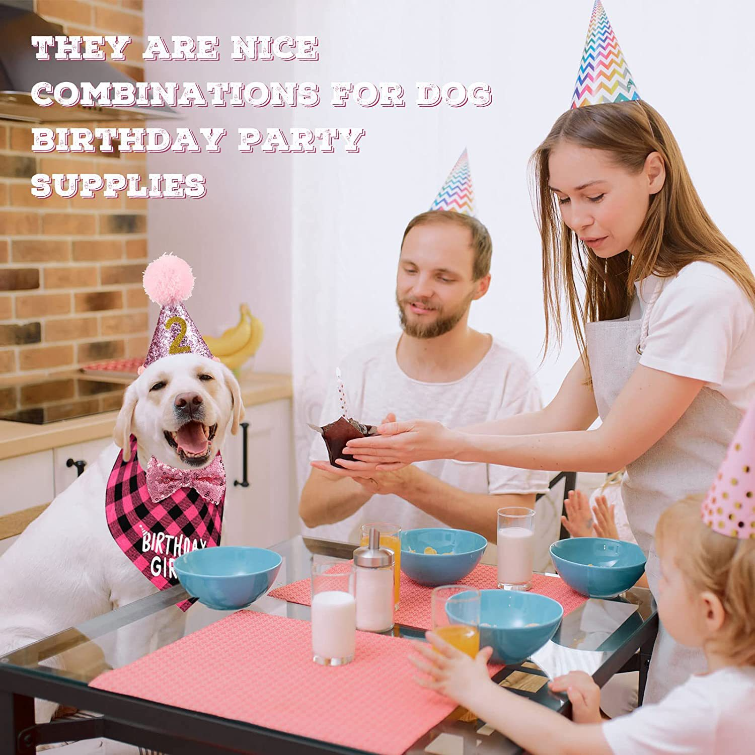 New Pet Birthday Party Supplies Banner Pull Flag Birthday Hat Dog Paw Balloons Saliva Bow Tie Pet Dog Birthday Party Accessories