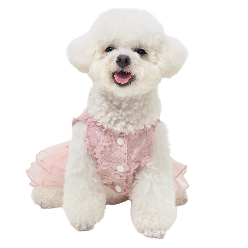 Pet Cute Servant Outfit Lace Dog Clothes Luxury Lolita Dress Pet Dog Cat Summer Costume Owner Puppy Pet clothes