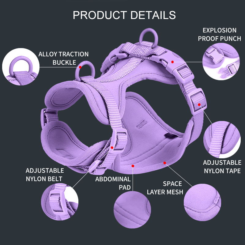 Personalized Pet PVC 4 in 1 Waterproof Dog Harness Set Dog Poop Bag Bow Tie Collar Leash Harness Set