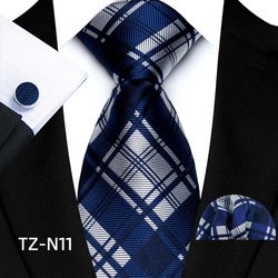 TZ-N11