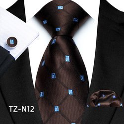 TZ-N12