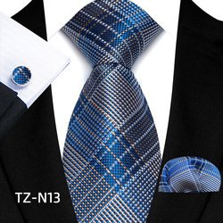 TZ-N13