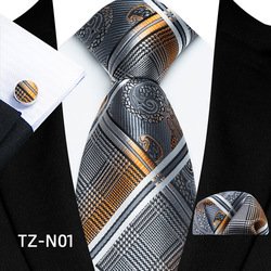 TZ-N01