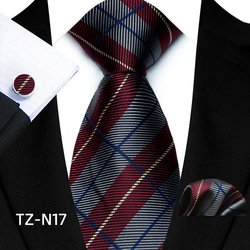 TZ-N17