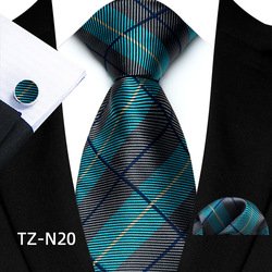 TZ-N20