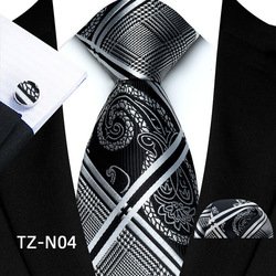 TZ-N04