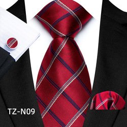 TZ-N09