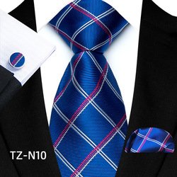 TZ-N10