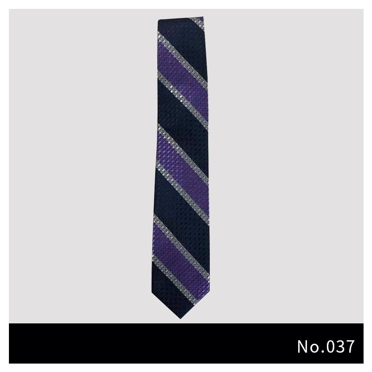 Customized Personalized Polyester Tie with Jacquard Embroidery Silk Printed Casual Tie for Gift