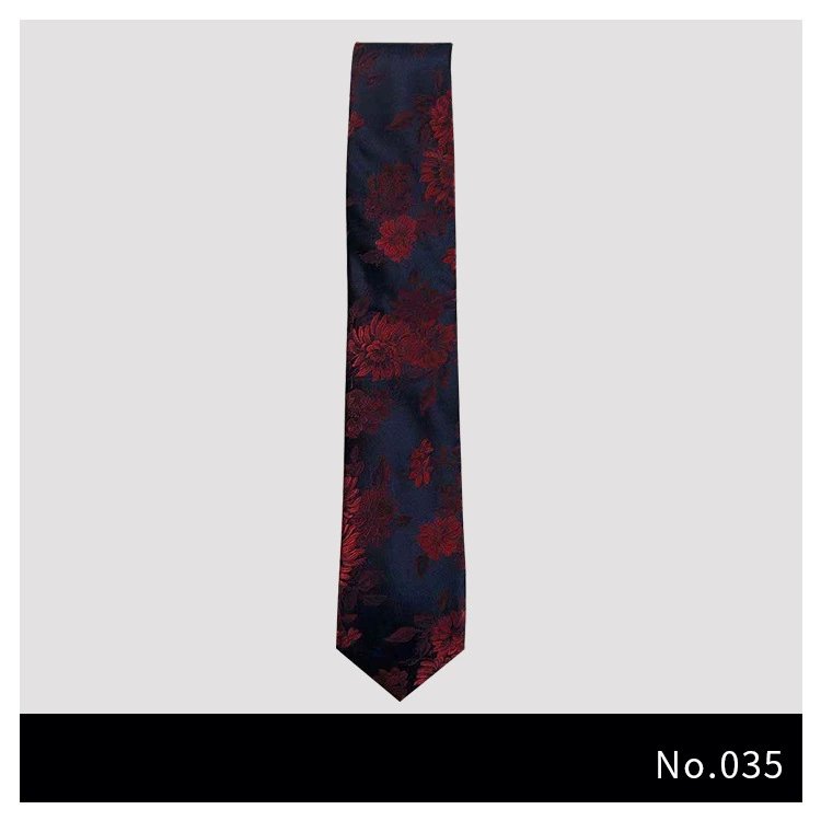 Customized Personalized Polyester Tie with Jacquard Embroidery Silk Printed Casual Tie for Gift