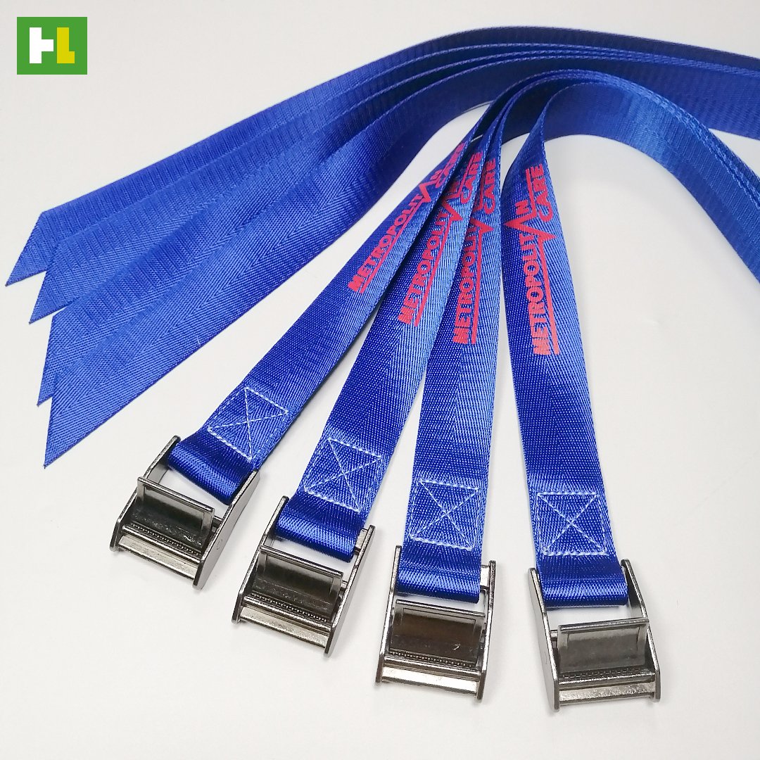 Well-made custom logo cam buckle straps tie down straps Lashing belts Ratchet Tie Down