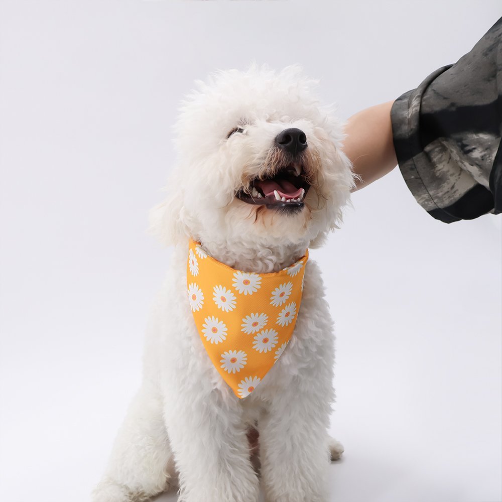 Factory Price Custom Print Sublimated Soft 100% Cotton Triangular Scarf Dog Bandana DogsPrintCotton