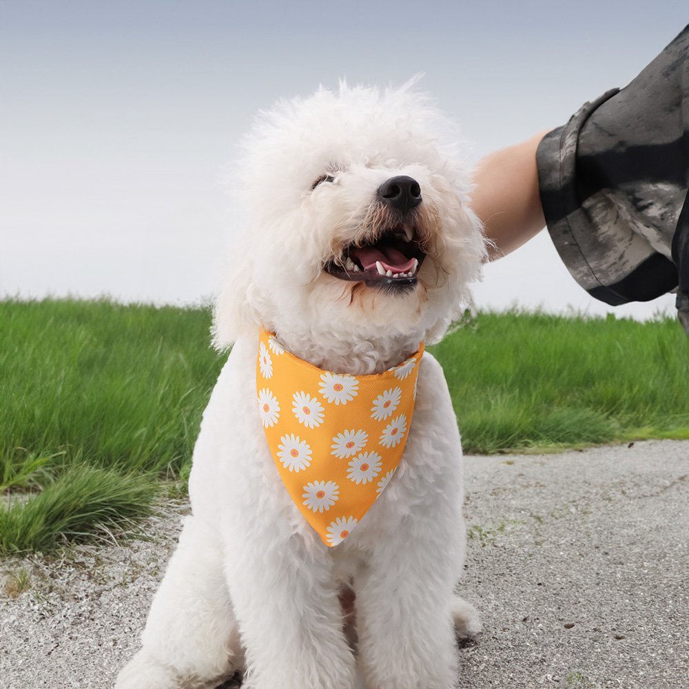 Factory Price Custom Print Sublimated Soft 100% Cotton Triangular Scarf Dog Bandana DogsPrintCotton