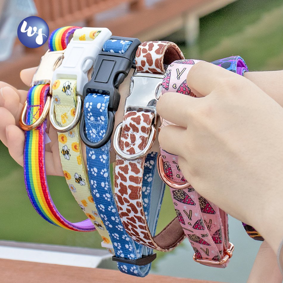 Winshine customized services low price timely delivery for dog product harness collar and leash set matching metal hardware