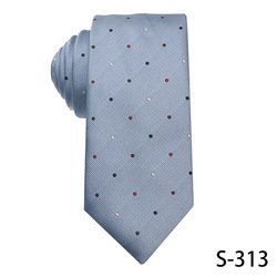 S-313