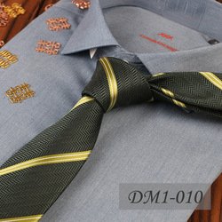 DM1-010