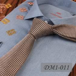 DM1-011