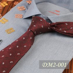 DM2-001