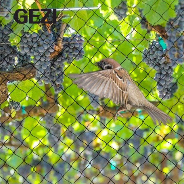 Heavy Duty Mesh Skimmer Net for Leaves and Debris - Protects Koi Fish from Blue Heron Birds, Cats and Predators